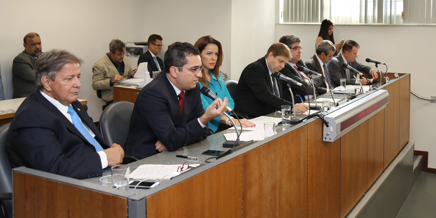 A audiência foi realizada pela Comissão de Adm Pública da ALMG (Foto: Thiago Rios)